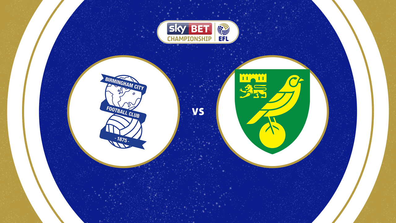 Birmingham City vs Norwich City poster Birmingham City vs Norwich City poster