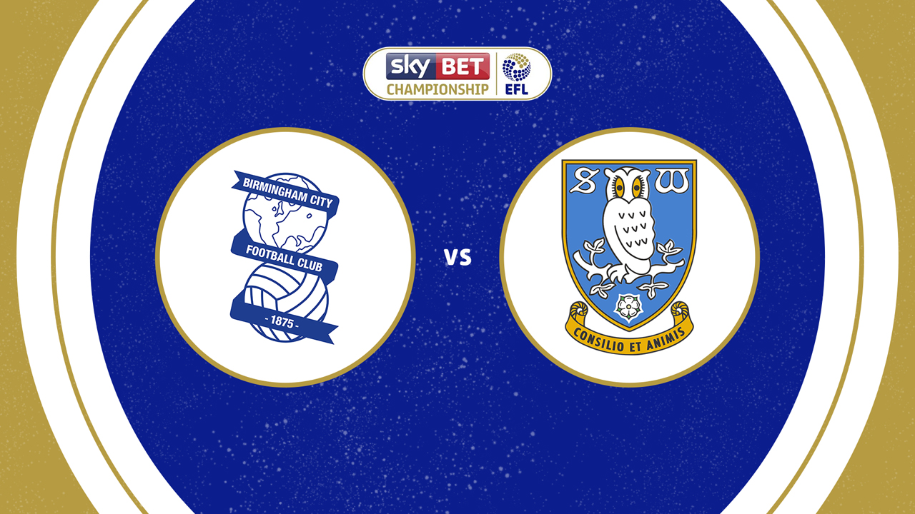 Birmingham City vs Sheffield Wednesday poster