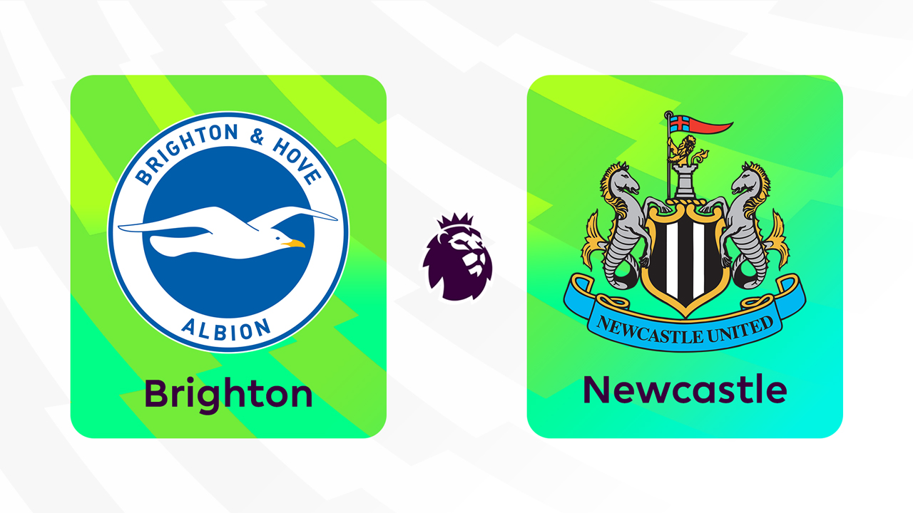 Brighton and Hove Albion vs Newcastle United poster