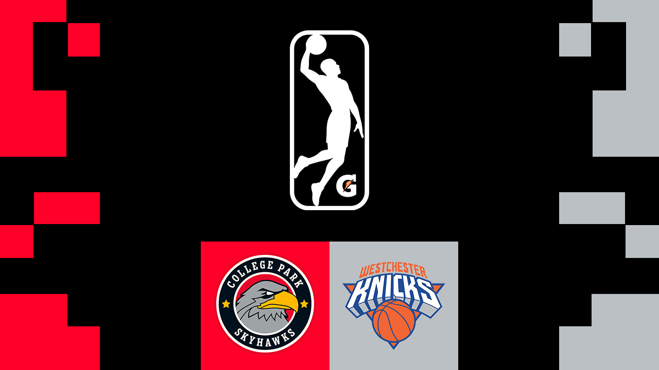 College Park Skyhawks vs Westchester Knicks poster