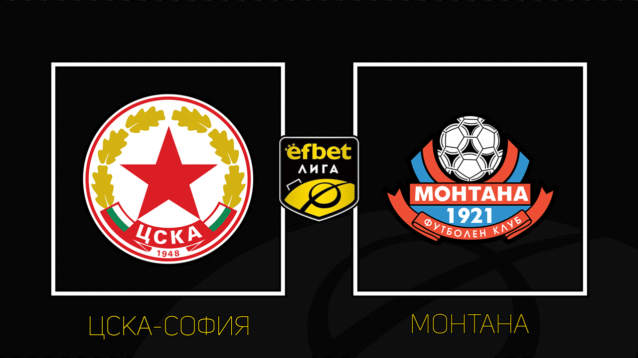 CSKA Sofia vs Montana poster