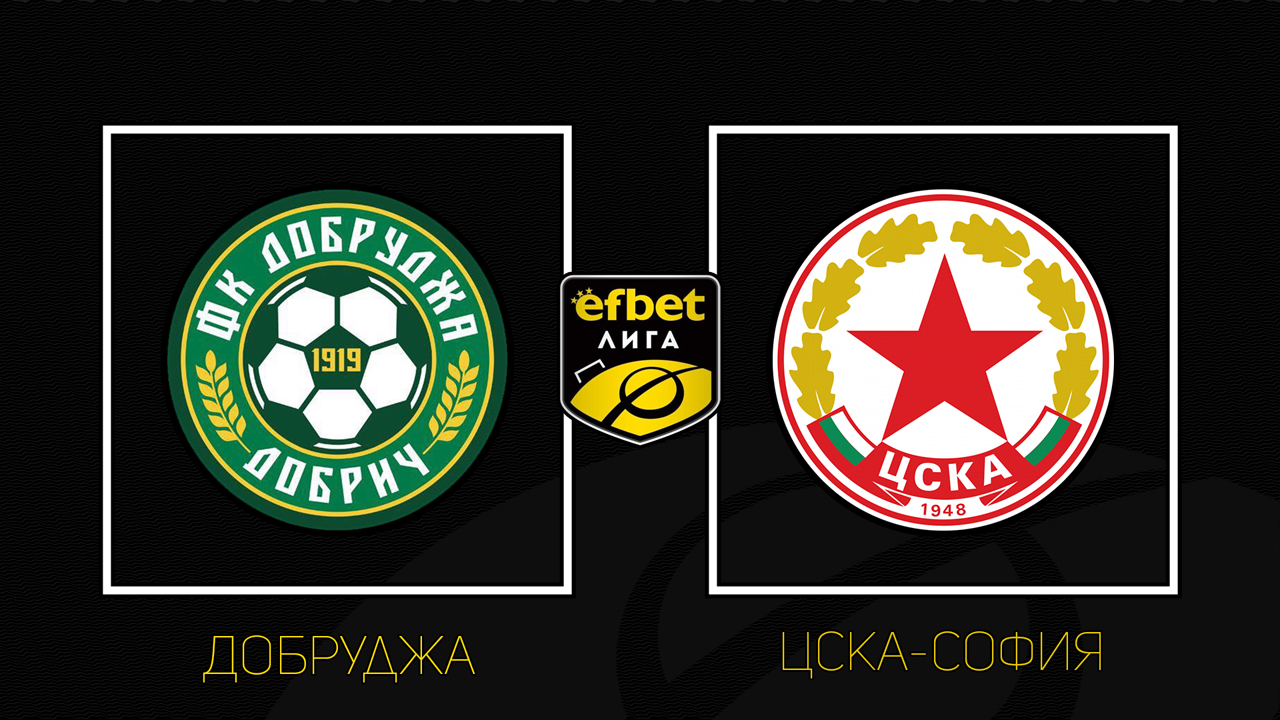Dobrudzha Dobrich vs CSKA Sofia poster