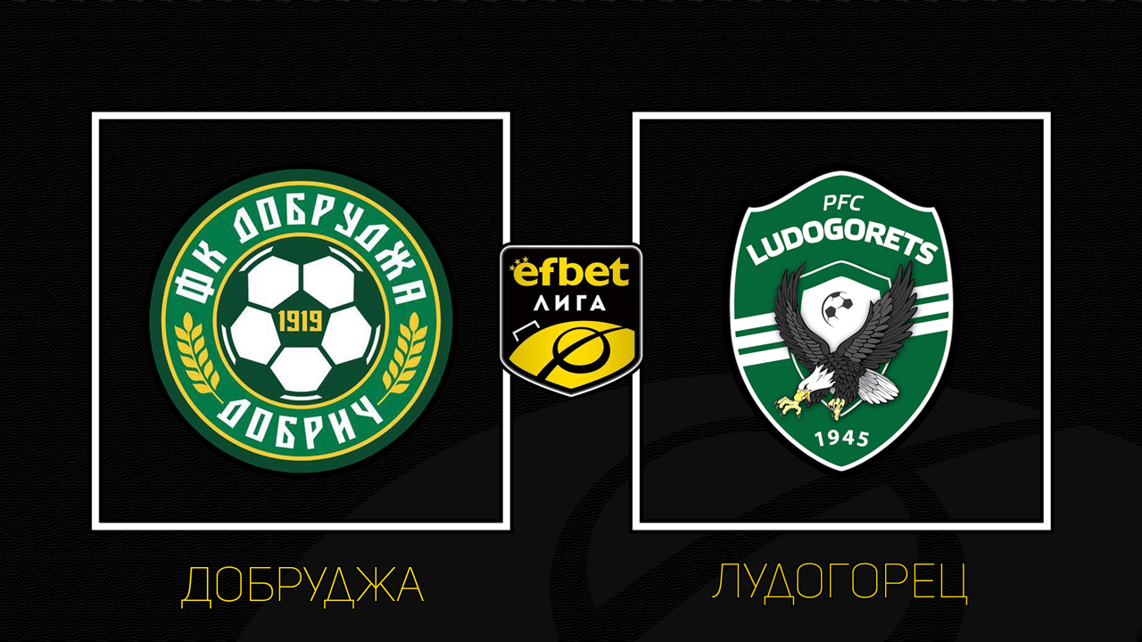 Dobrudzha Dobrich vs Ludogorets Razgrad poster