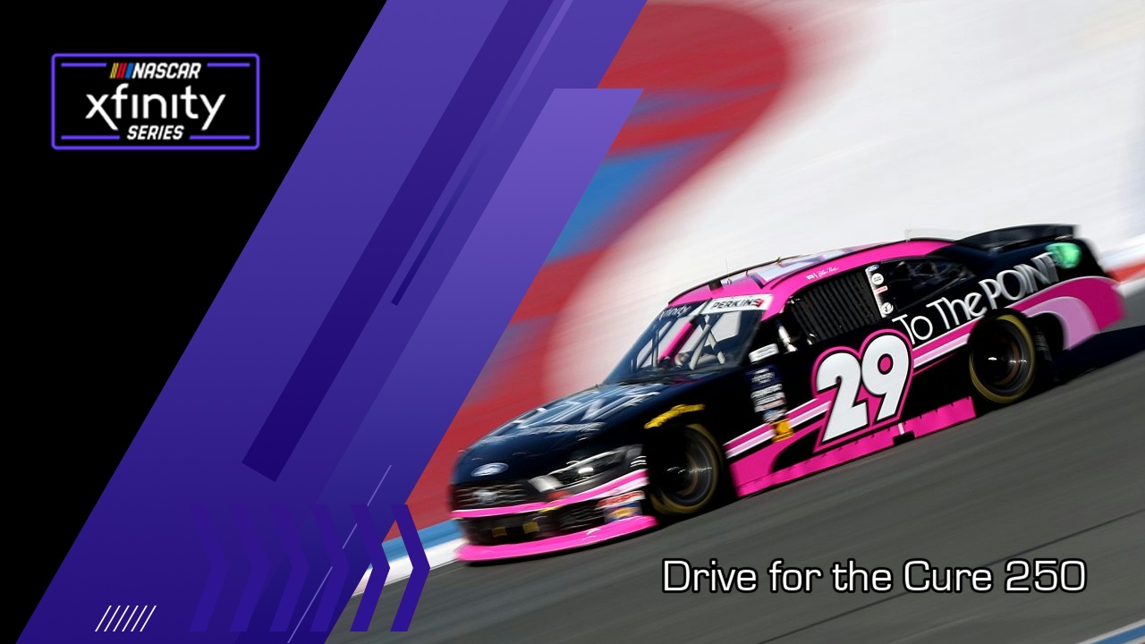 Drive for the Cure 250 image