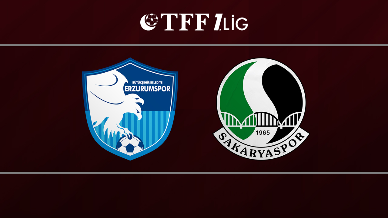 Erzurumspor vs Sakaryaspor poster
