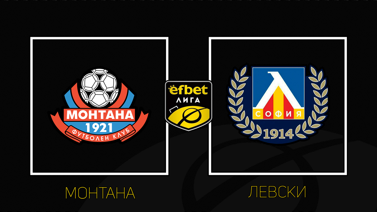 Montana vs Levski Sofia poster