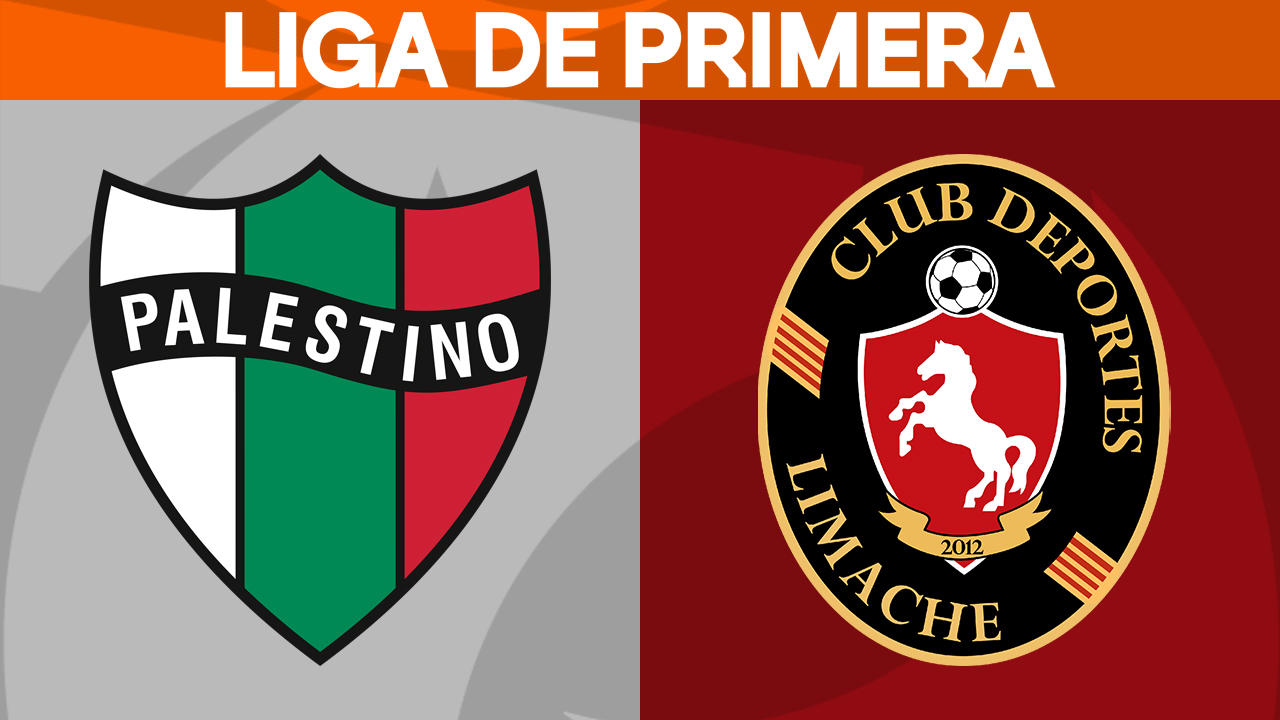 Palestino vs Deportes Limache poster
