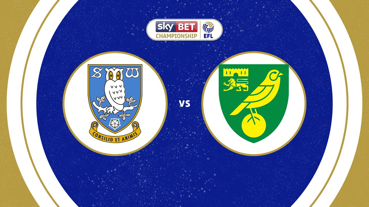 Sheffield Wednesday vs Norwich City poster