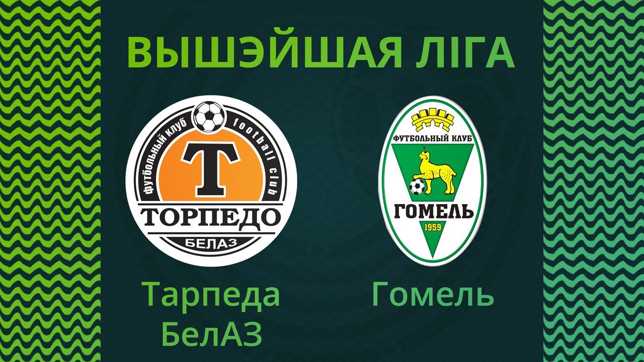 Torpedo-BelAZ Zhodino vs Gomel poster