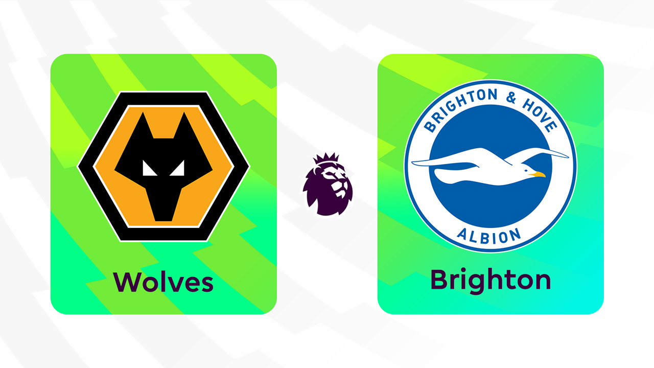 Wolverhampton Wanderers vs Brighton and Hove Albion poster