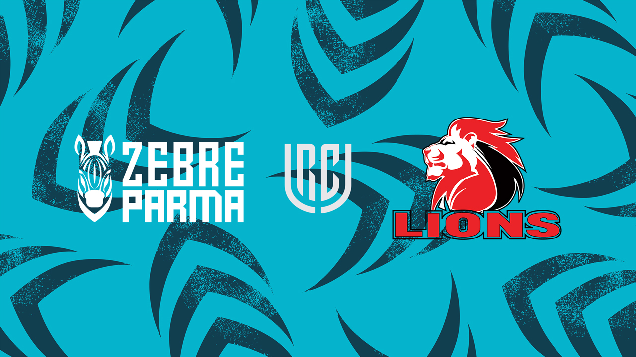 Zebre vs Lions poster Zebre vs Lions poster