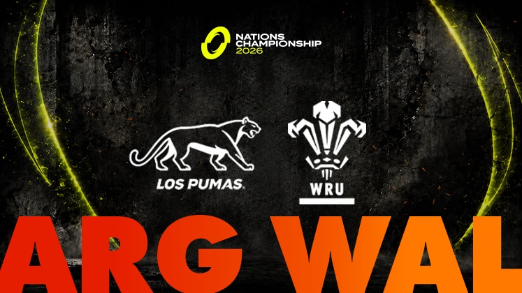 Argentina Rugby vs Wales Rugby poster