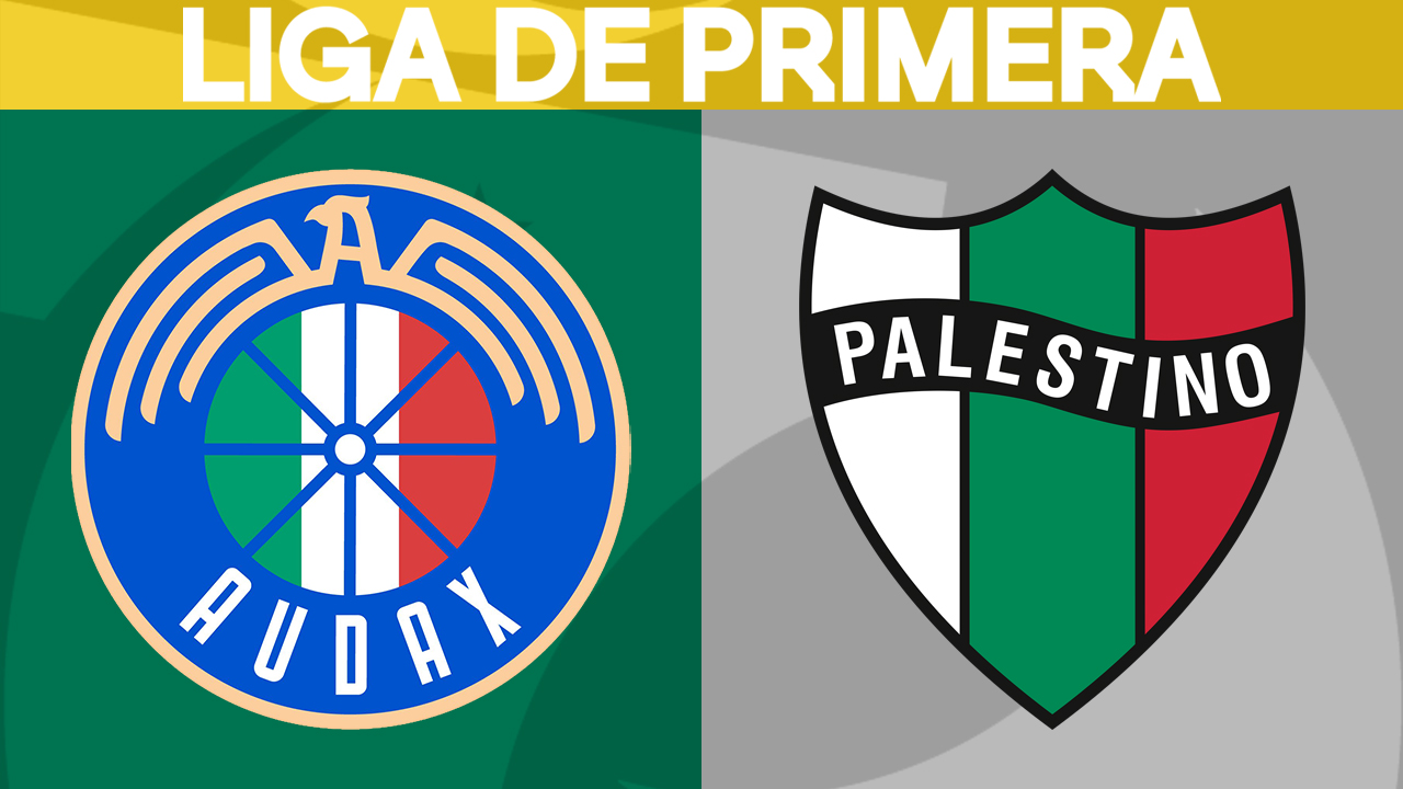 Audax Italiano vs Palestino poster