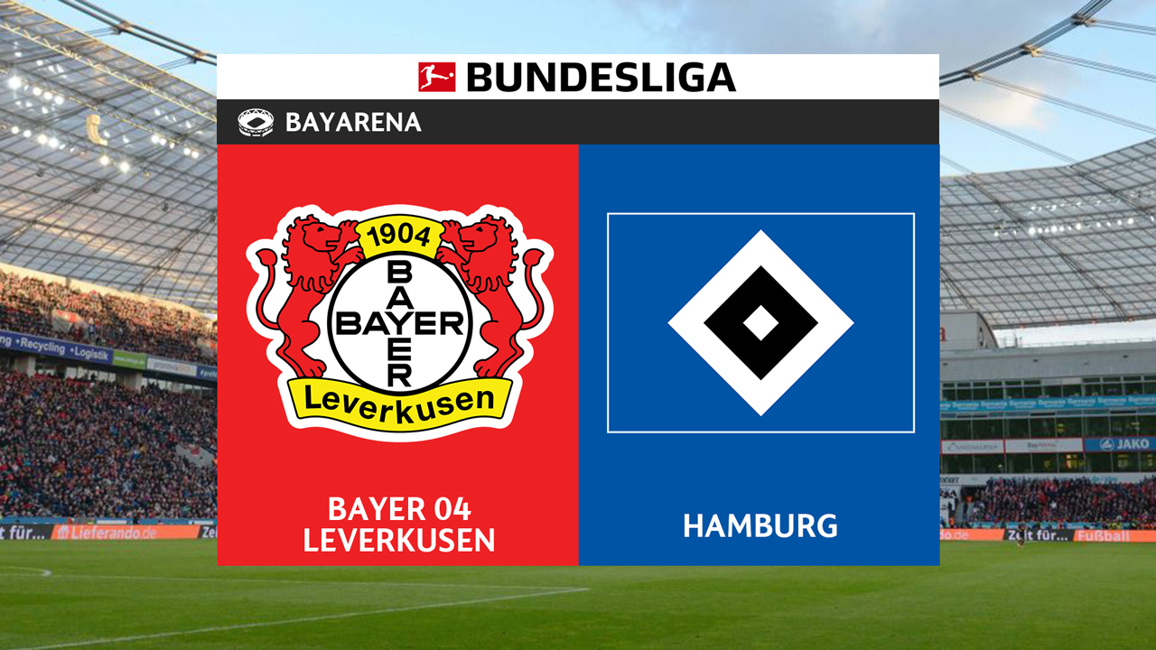 Bayer Leverkusen vs Hamburg poster