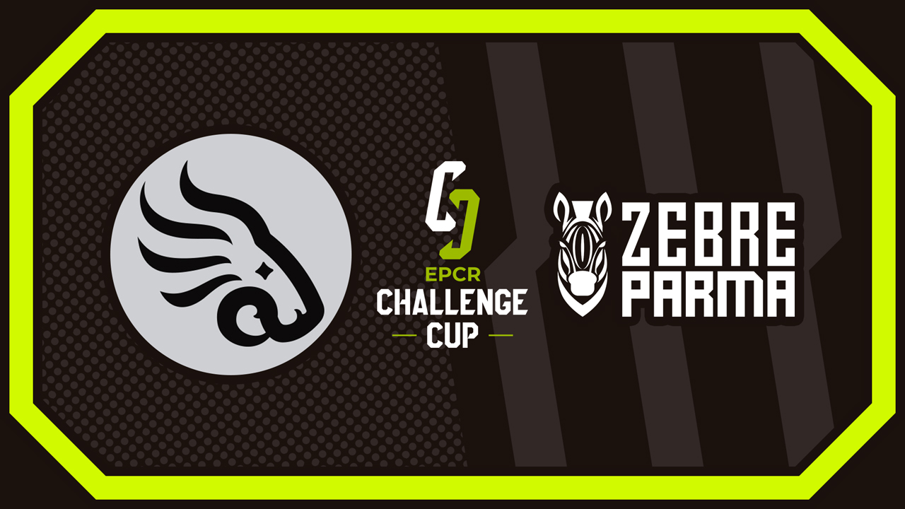 Black Lion vs Zebre poster