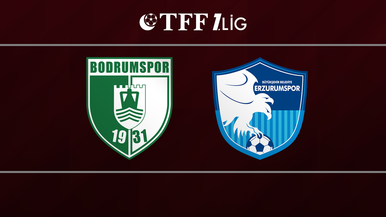 Bodrum vs Erzurumspor poster