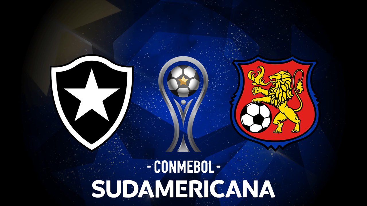 Botafogo vs Caracas poster