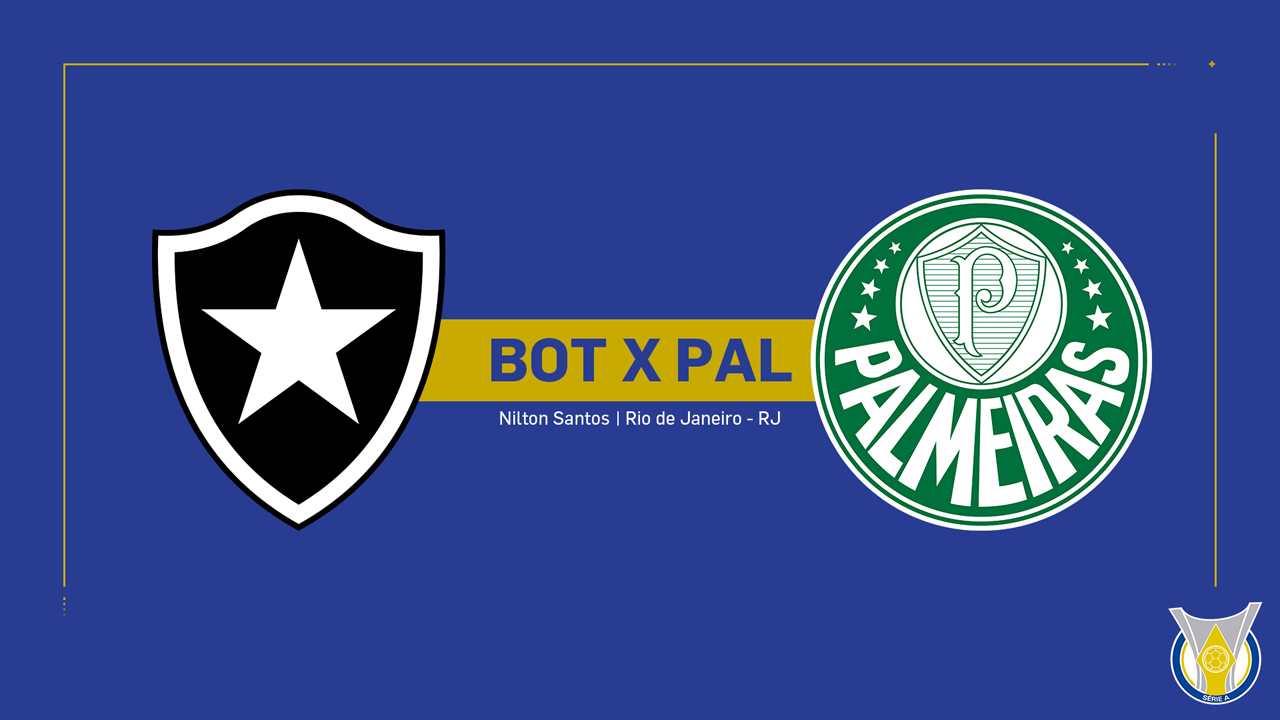 Botafogo vs Palmeiras poster