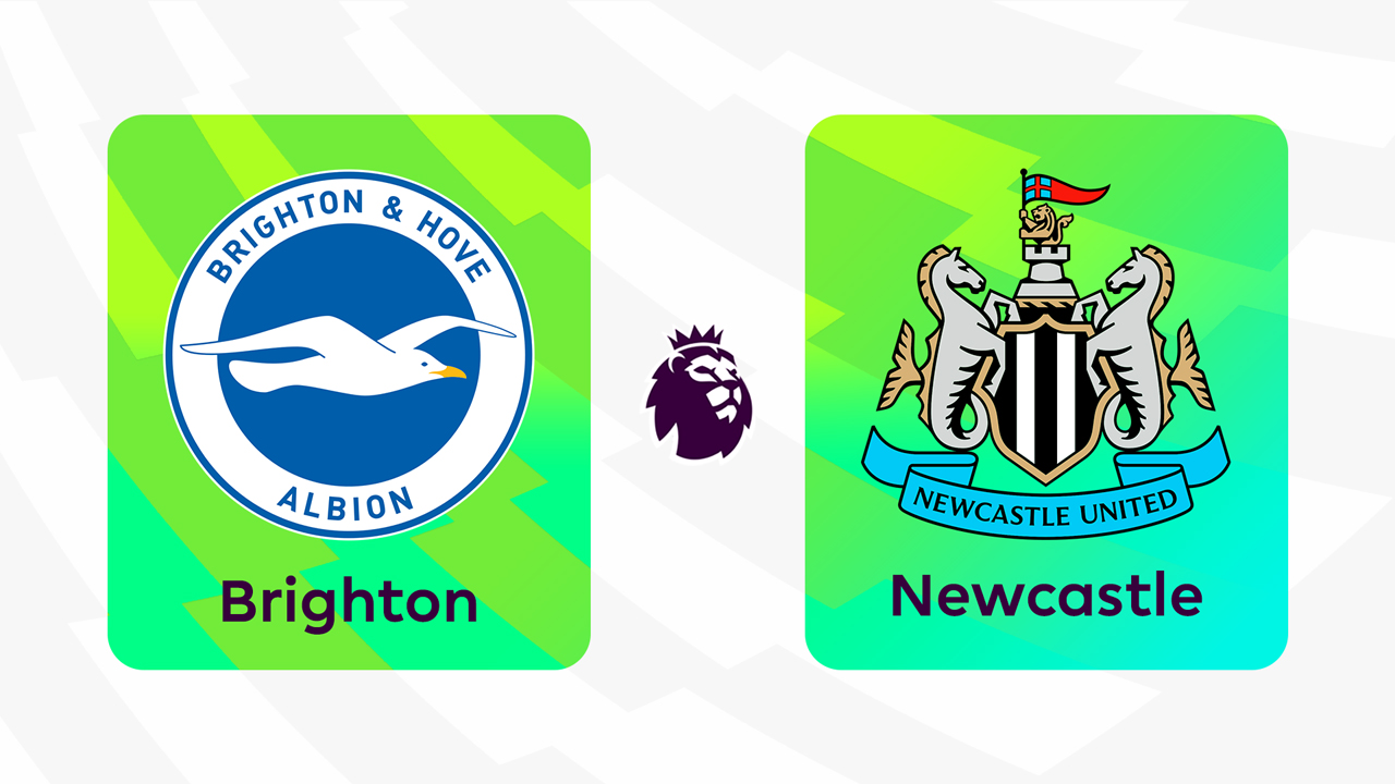 Brighton and Hove Albion vs Newcastle United poster