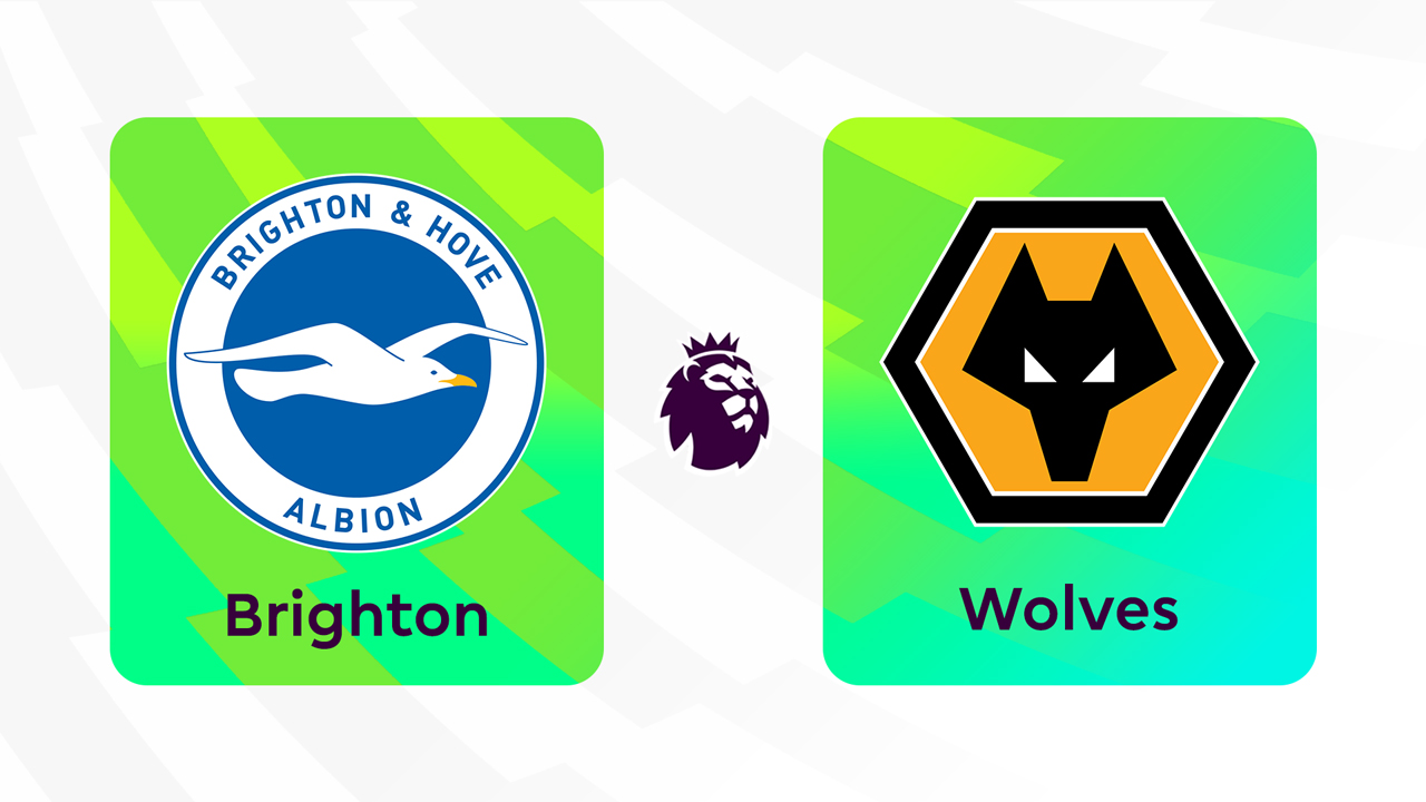 Brighton and Hove Albion vs Wolverhampton Wanderers poster