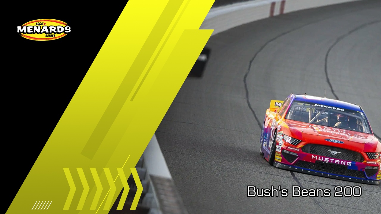 Bushs Beans 200 image