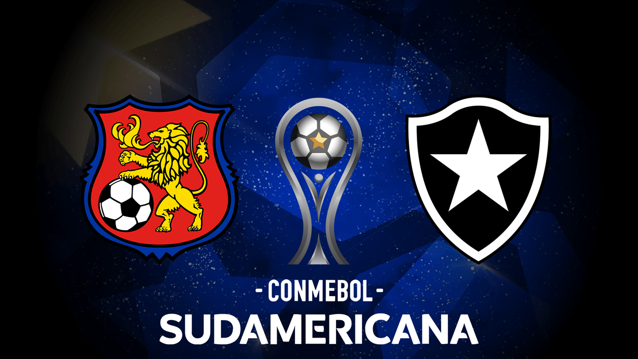 Caracas vs Botafogo poster