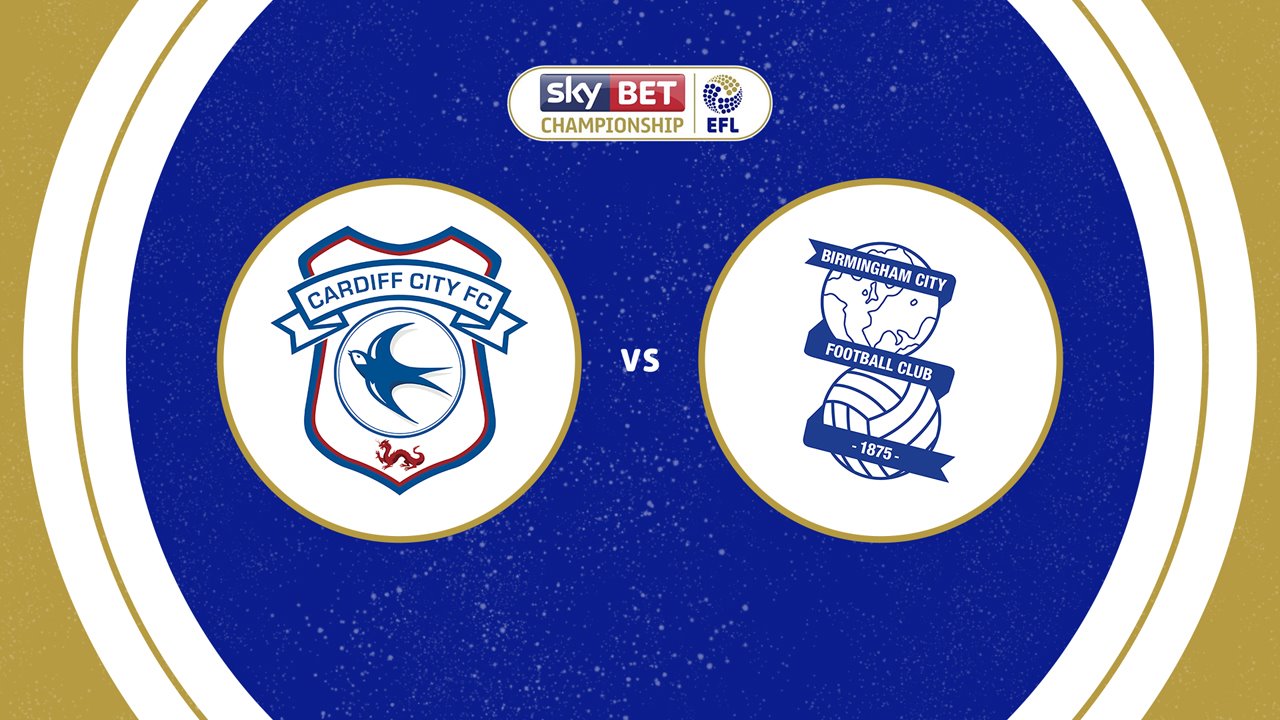 Cardiff City vs Birmingham City poster