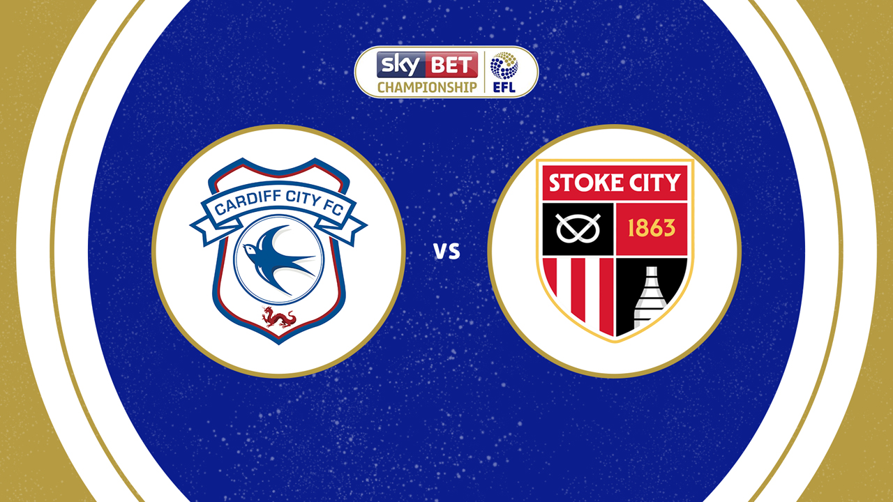 Cardiff City vs Stoke City poster