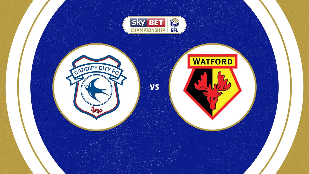 Cardiff City vs Watford poster