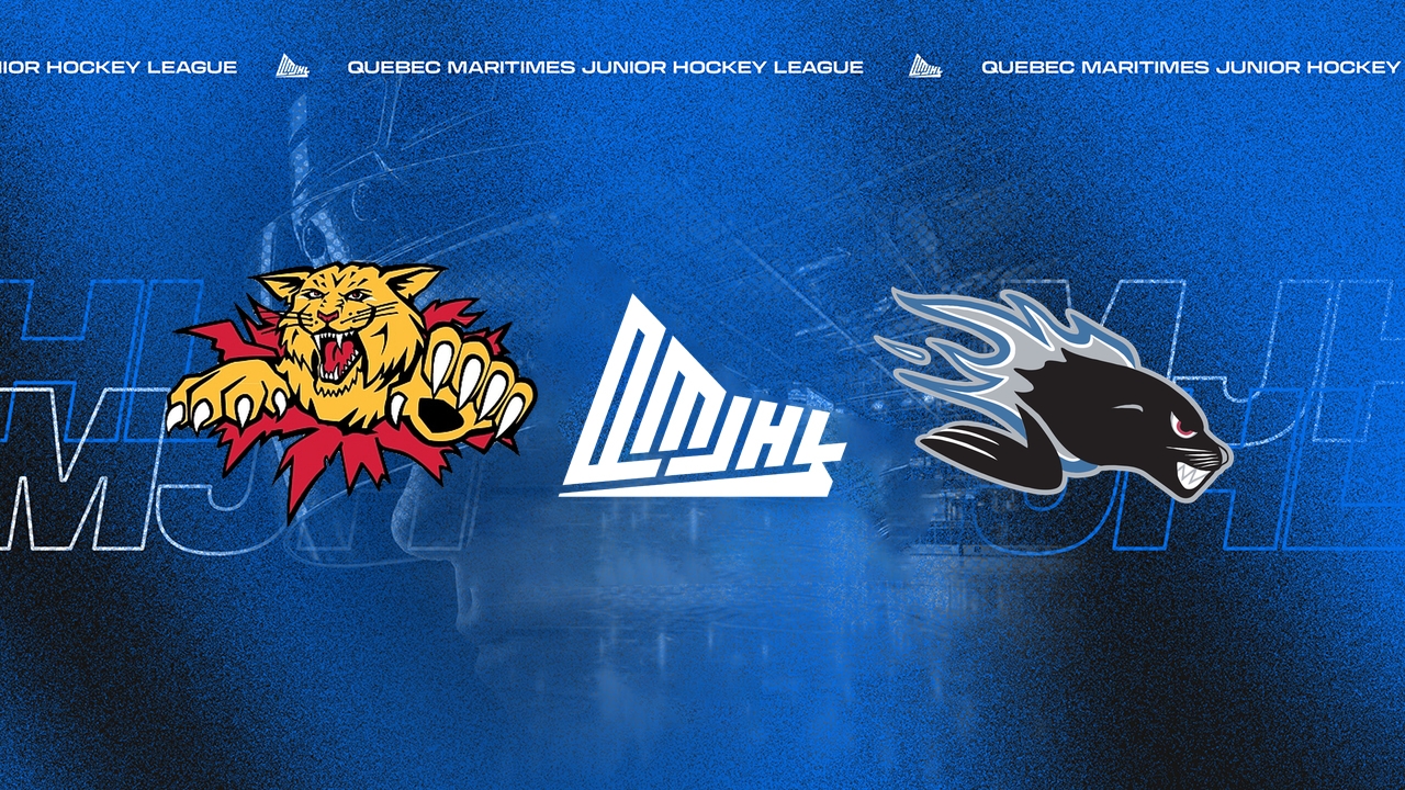 Charlottetown Islanders vs Saint John Sea Dogs poster