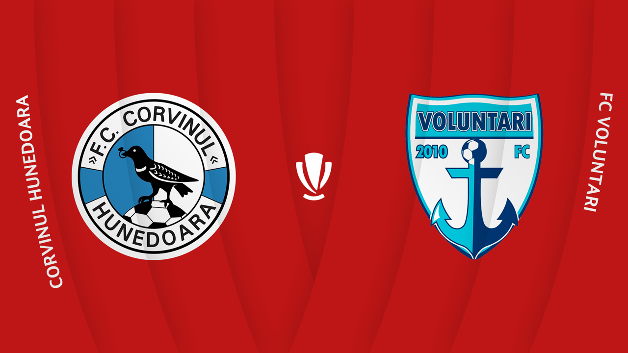 Corvinul Hunedoara vs Voluntari poster
