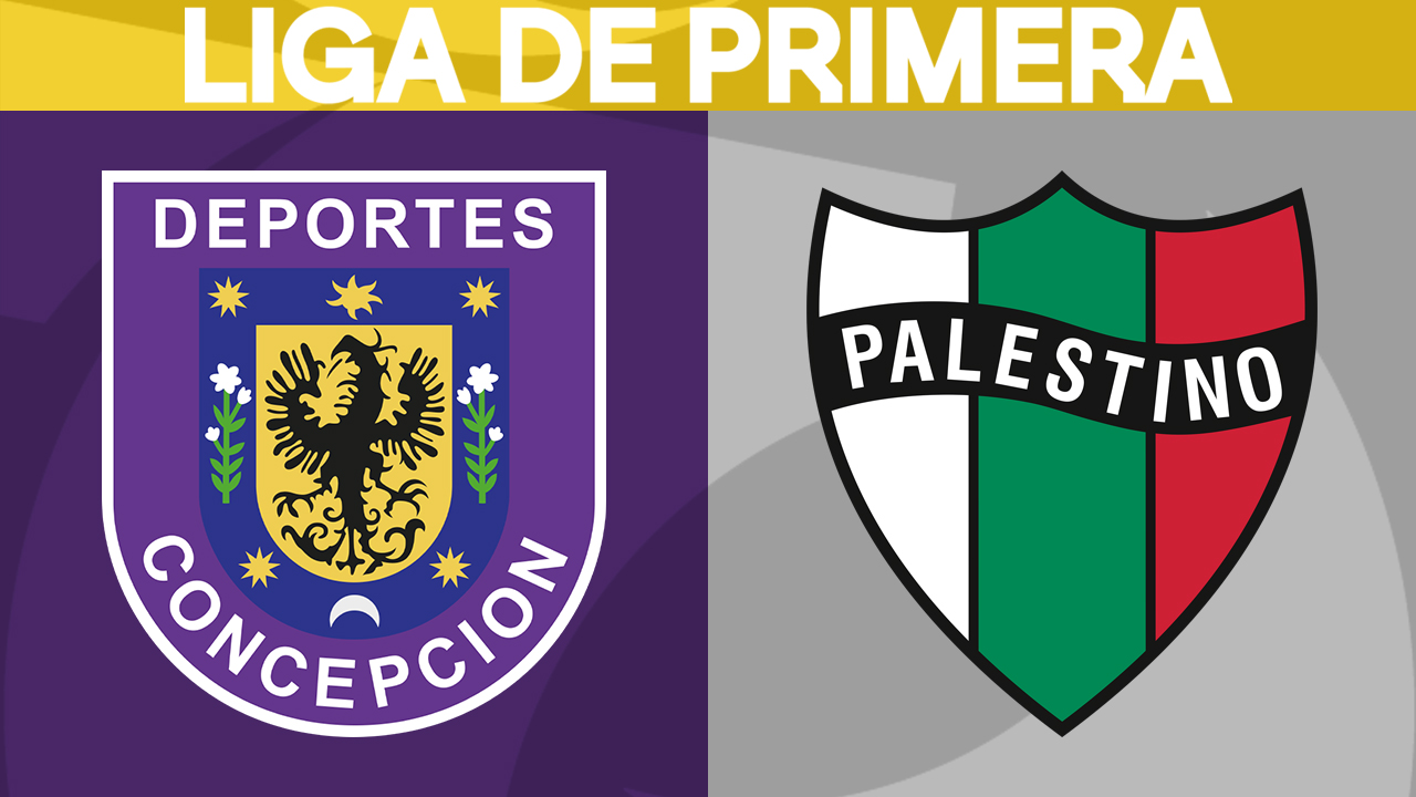 Deportes Concepción vs Palestino poster