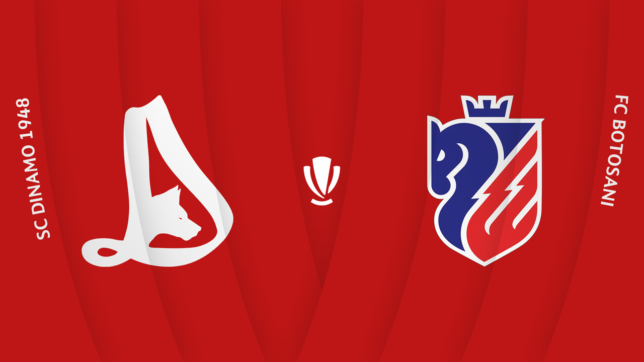 Dinamo București vs Botoșani poster