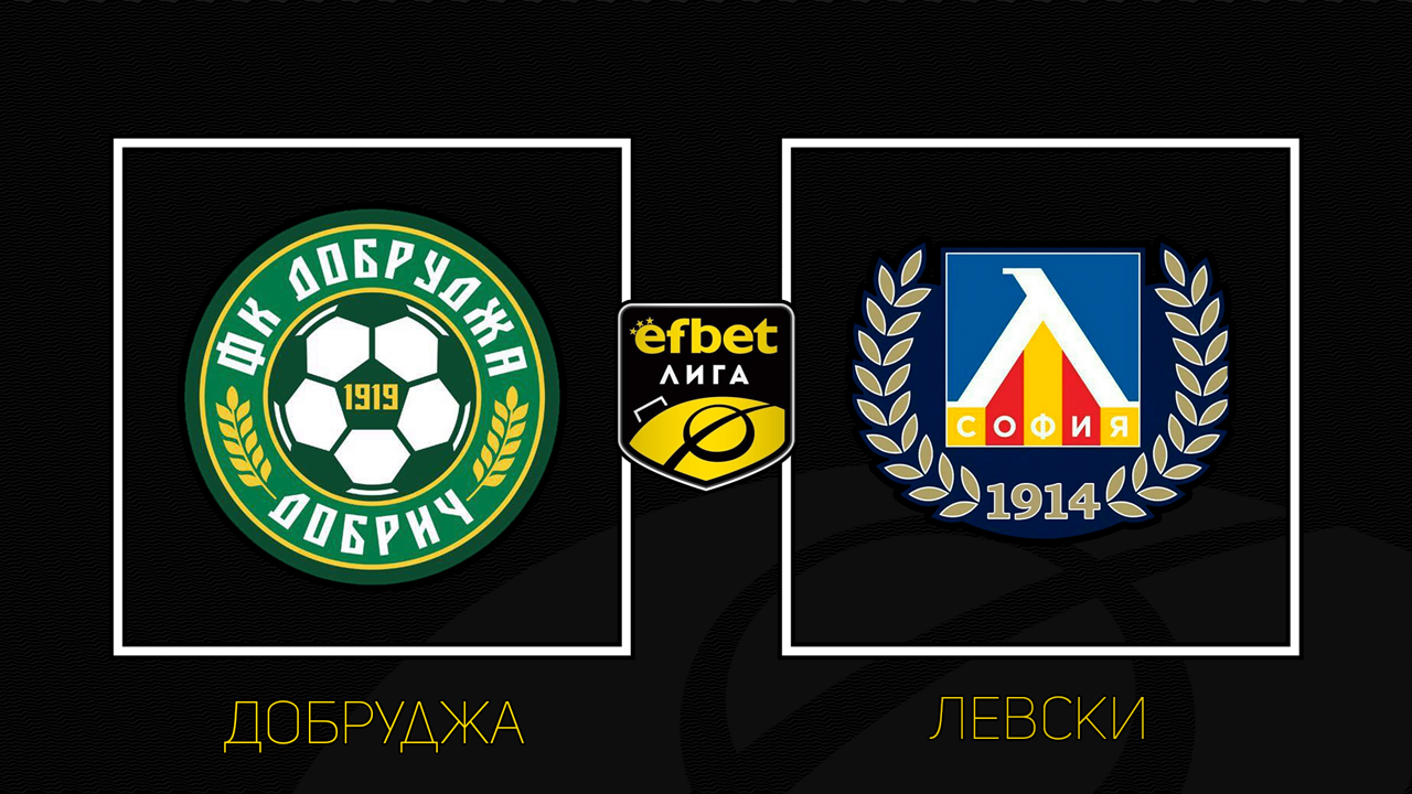 Dobrudzha Dobrich vs Levski Sofia poster