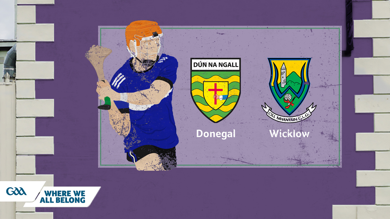 Donegal GAA Hurling vs Wicklow GAA Hurling poster
