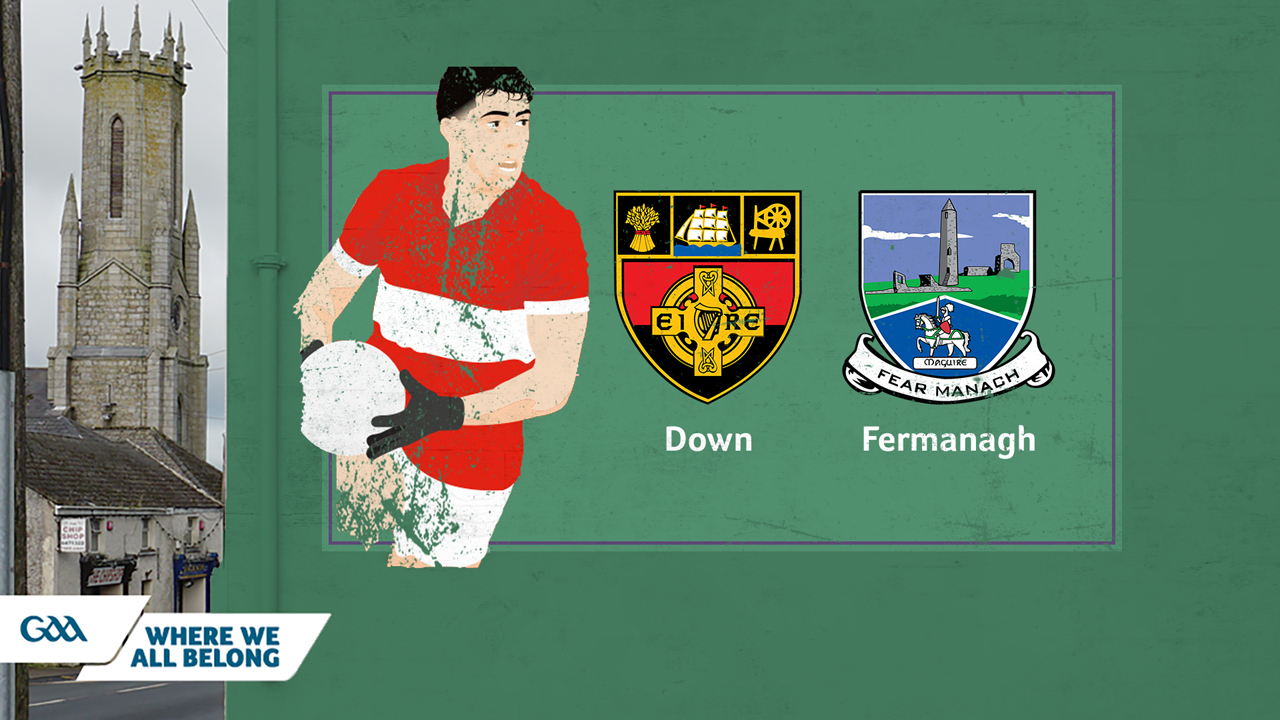 Down GAA Football vs Fermanagh GAA Football poster