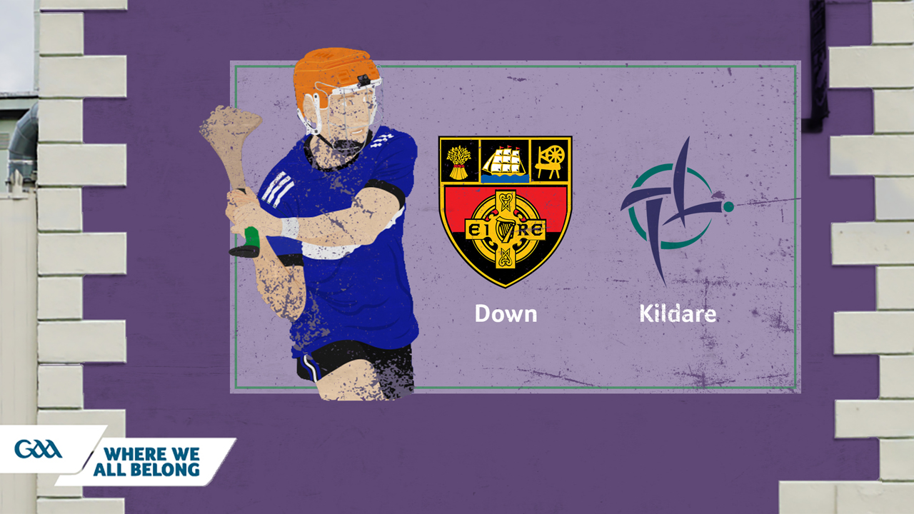 Down GAA Hurling vs Kildare GAA Hurling poster