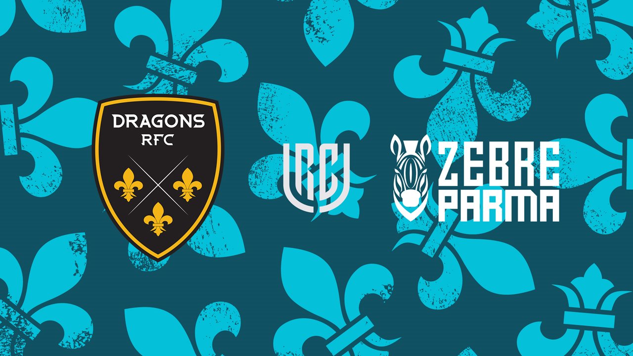 Dragons vs Zebre poster