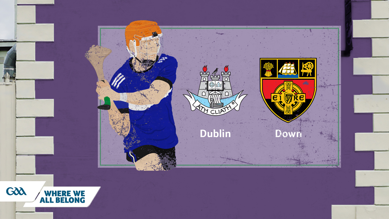 Dublin GAA Hurling vs Down GAA Hurling poster