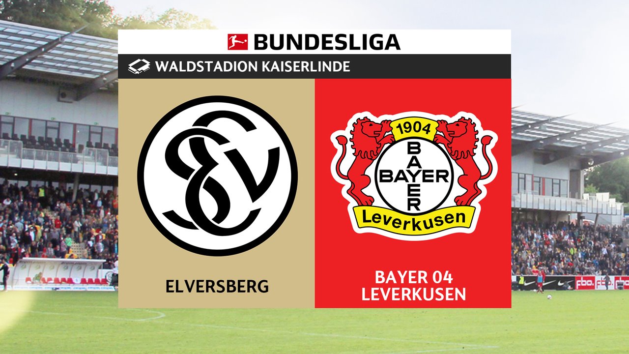 Elversberg vs Bayer Leverkusen poster