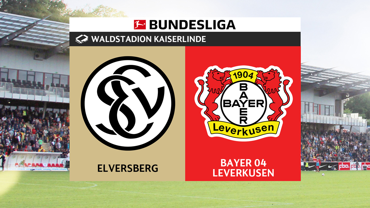 Elversberg vs Bayer Leverkusen poster