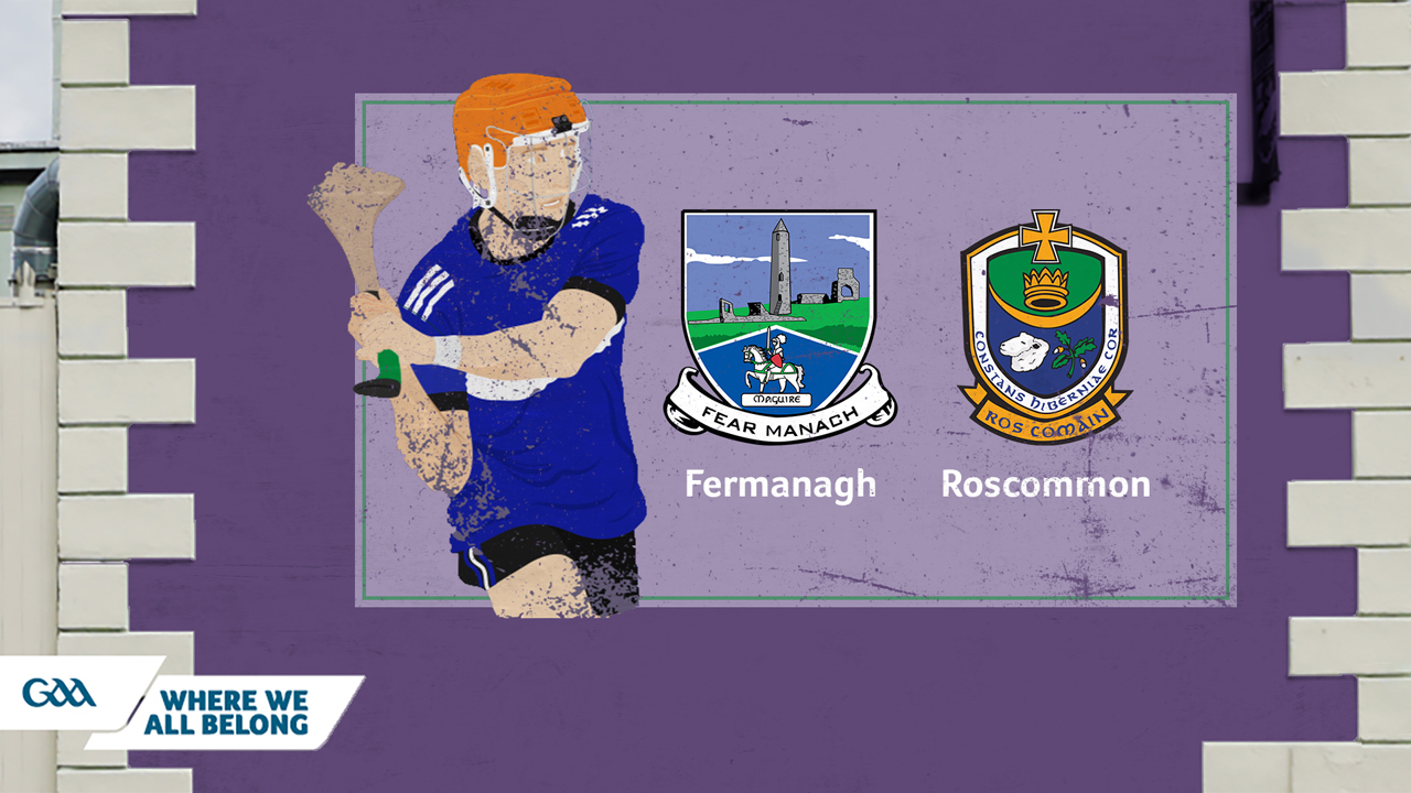 Fermanagh GAA Hurling vs Roscommon GAA Hurling poster