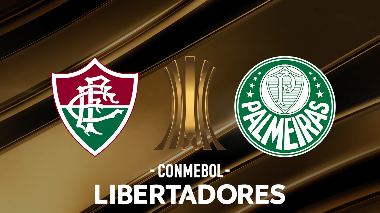 Fluminense vs Palmeiras poster