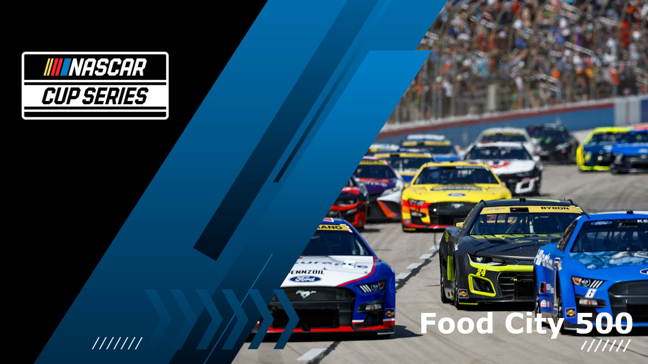 Food City 500 image