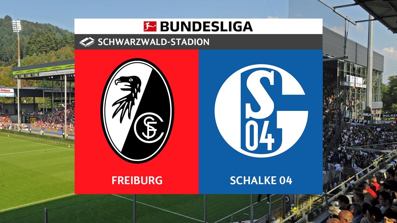 Freiburg vs Schalke 04 poster