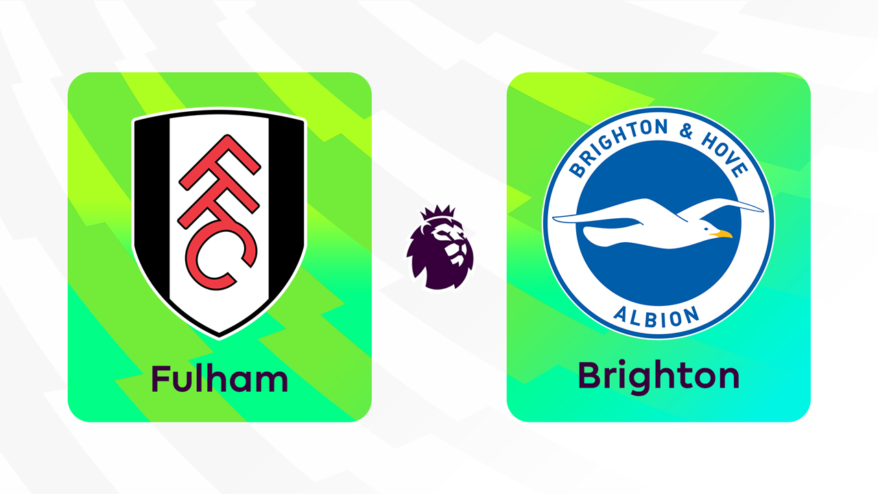 Fulham vs Brighton and Hove Albion poster