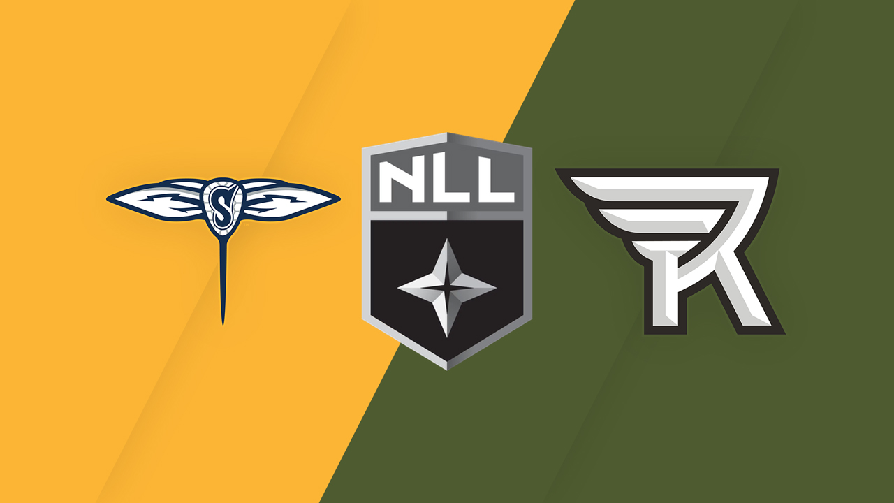 Georgia Swarm vs Rochester Knighthawks poster