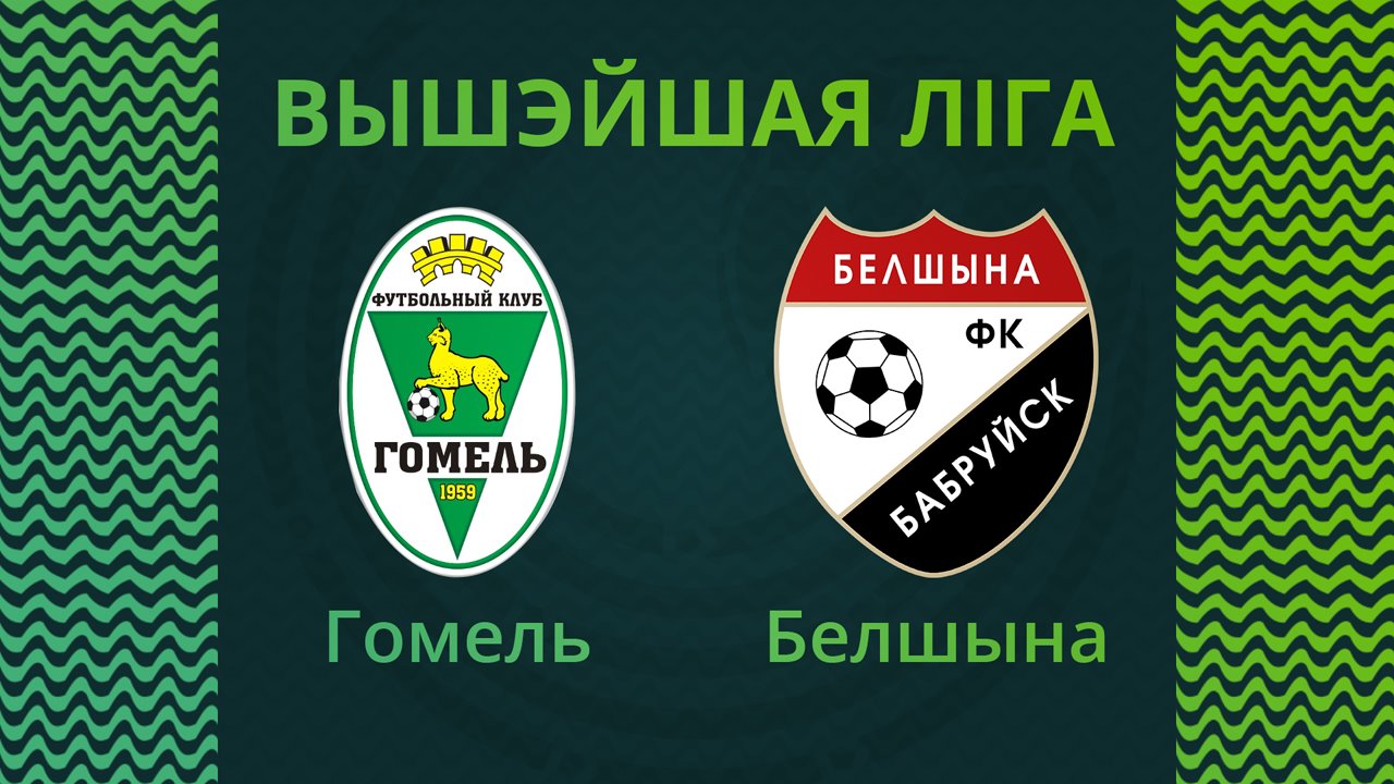 Gomel vs Belshina Bobruisk poster