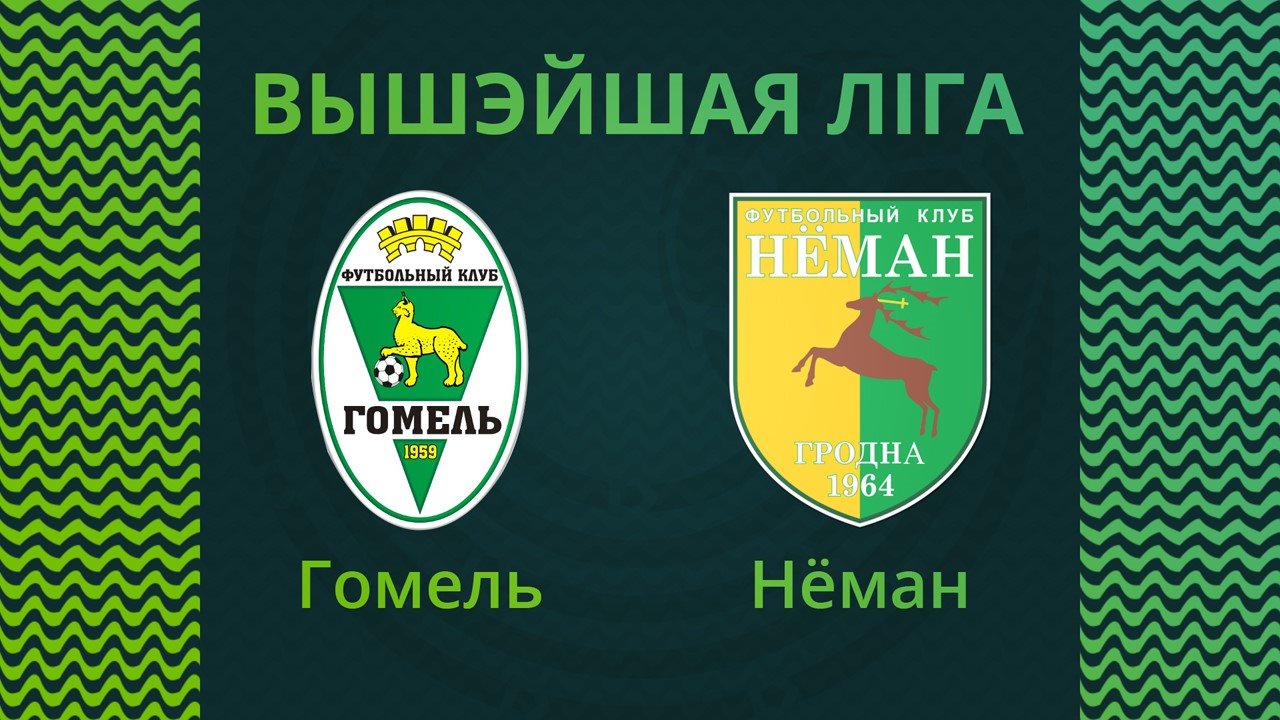 Gomel vs Neman Grodno poster