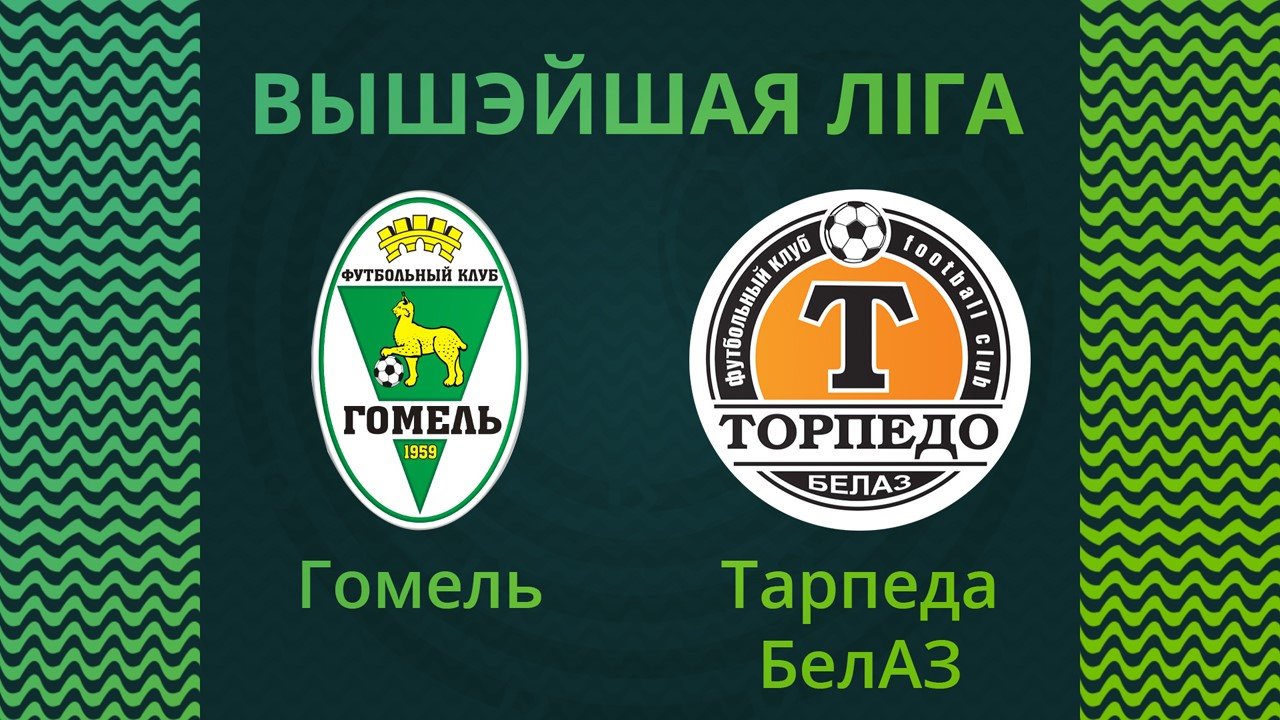 Gomel vs Torpedo-BelAZ Zhodino poster